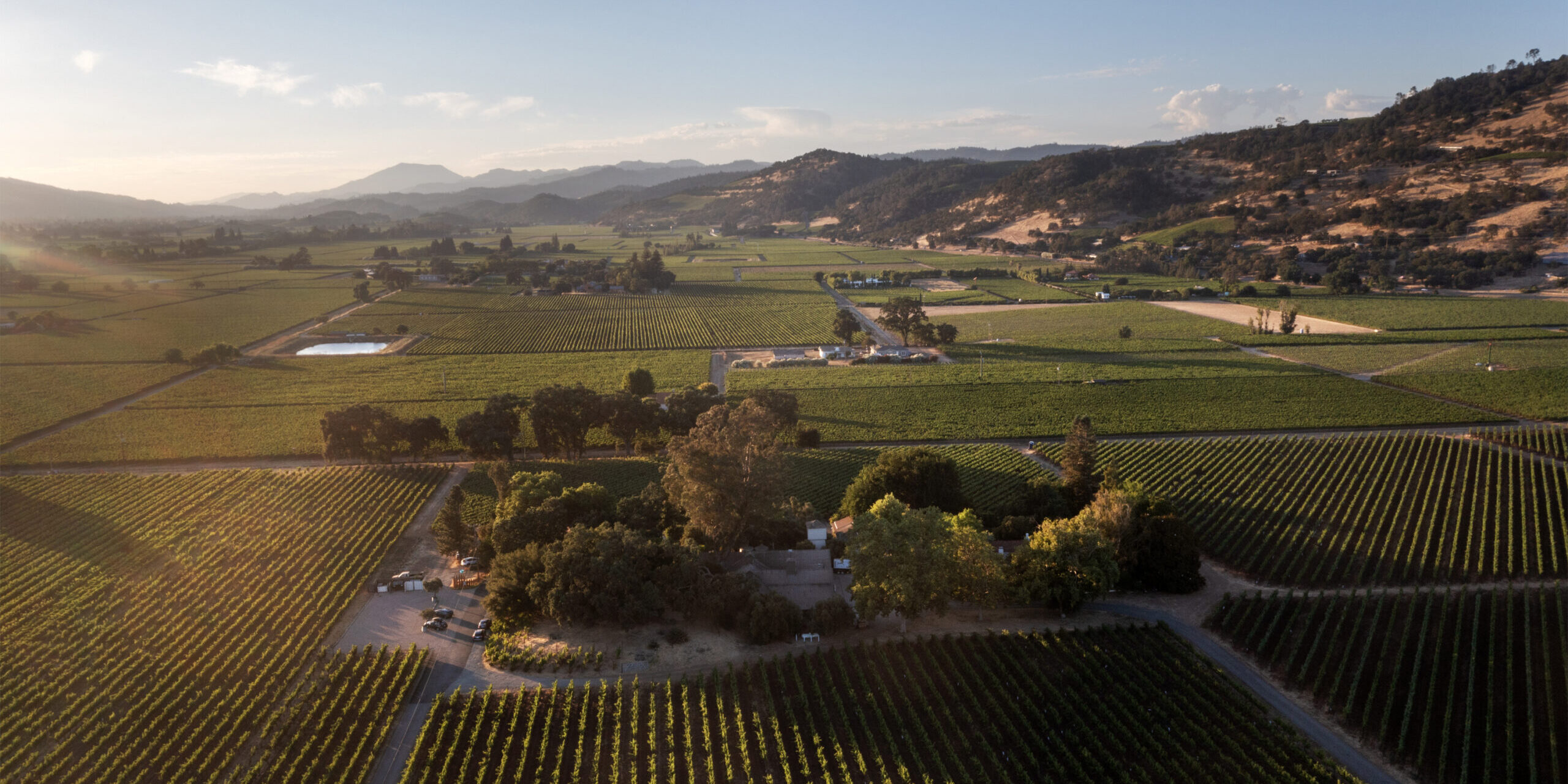 plumpjackwinery