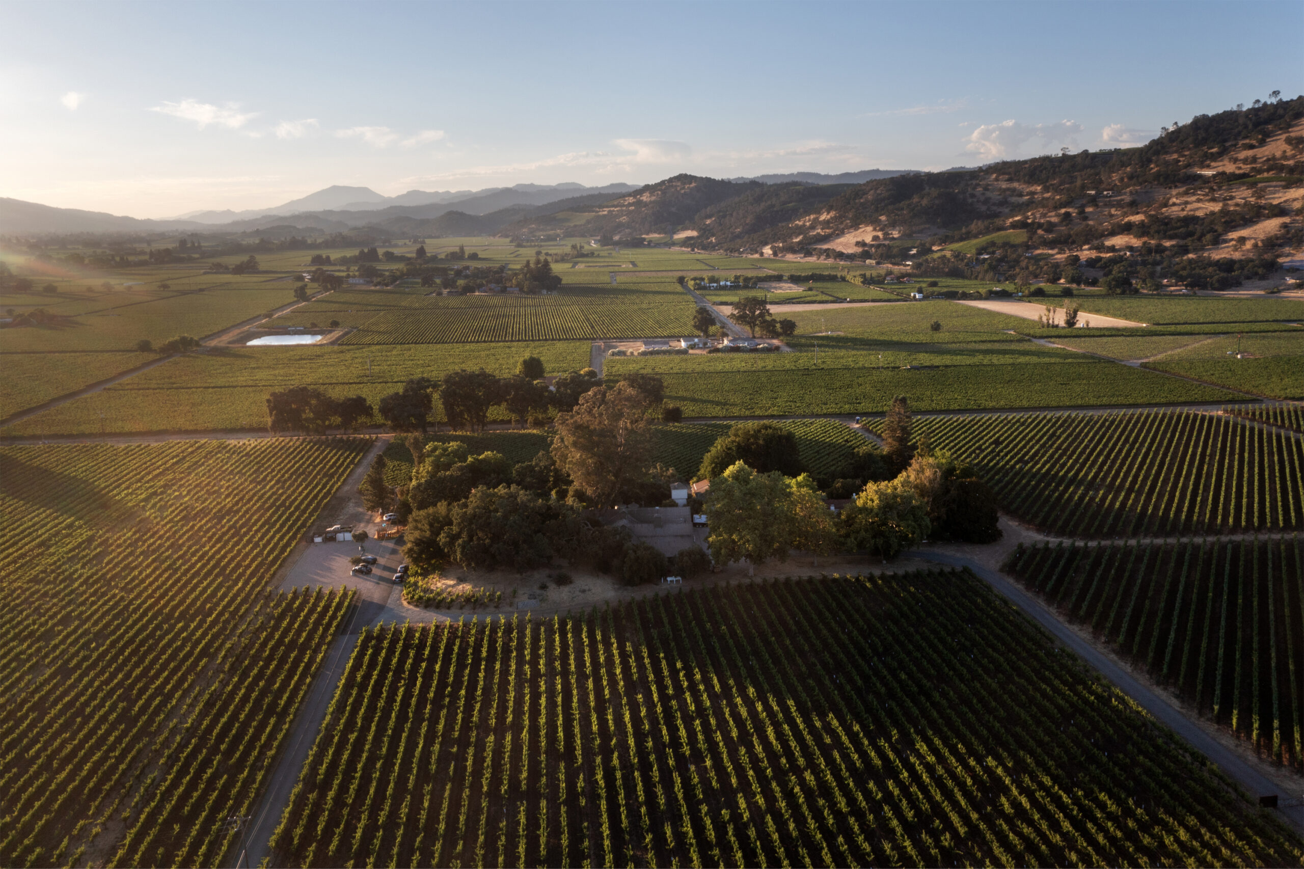 plumpjackwinery
