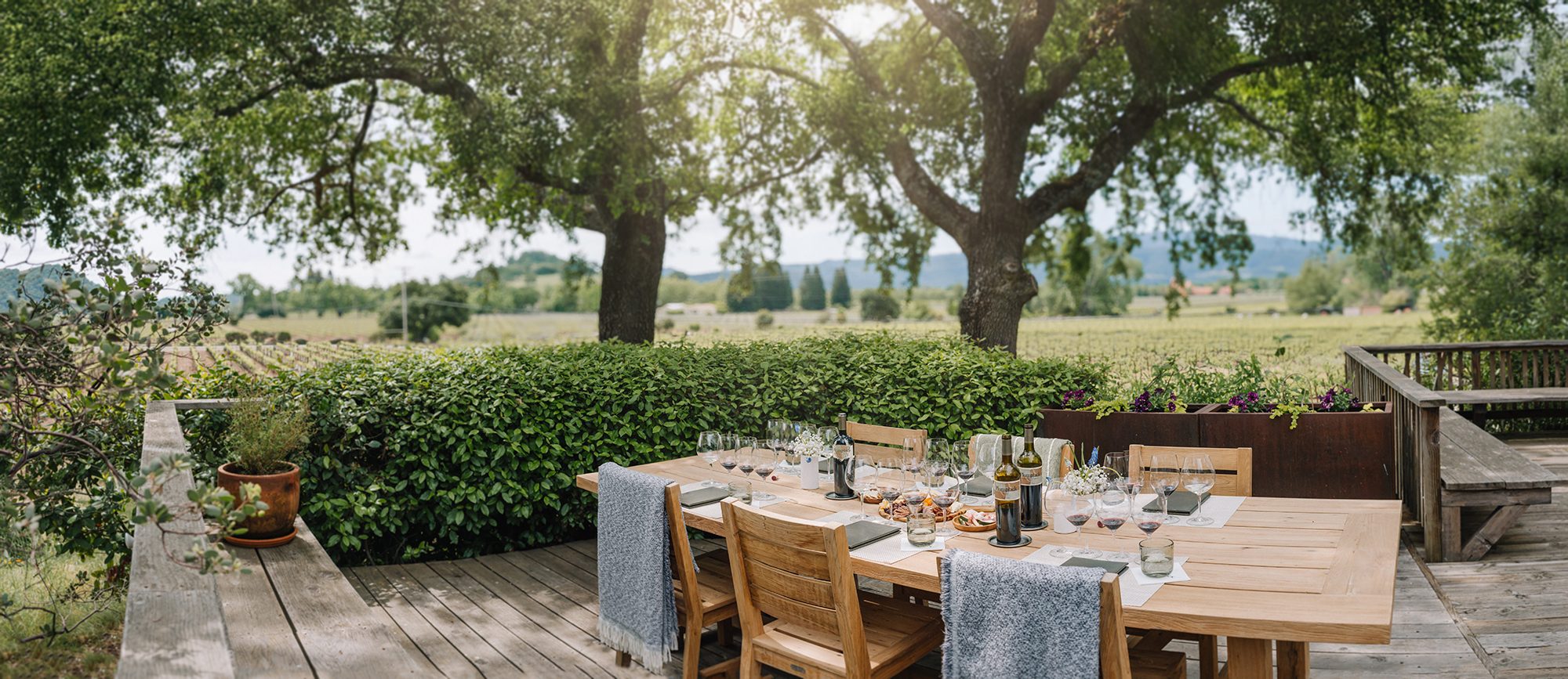 plumpjackwinery